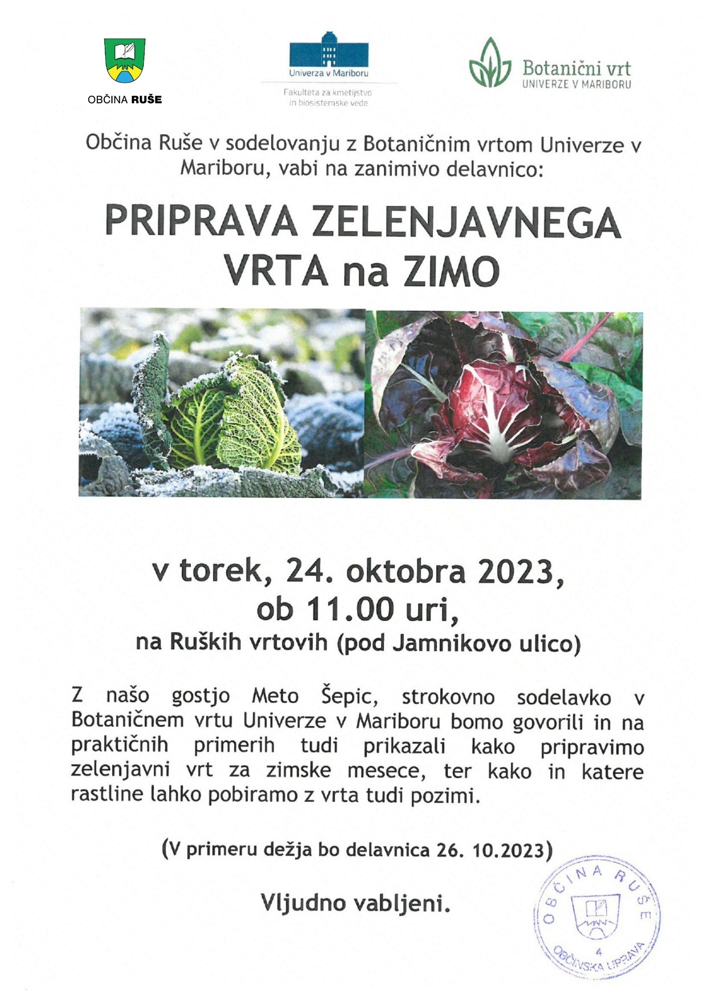 Izdelek brez naslova (37)